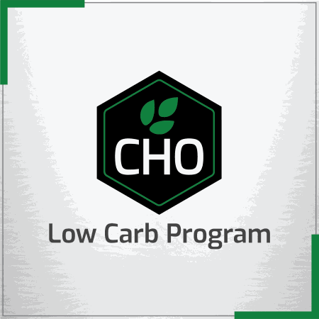 low carb program