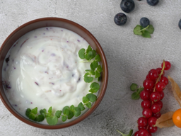 [SAL77] Baby Blue Yogurt / زبادي بيبي بلو
