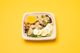 [MN1247-2.0] NICOISE SALAD / سلطة نيسواز