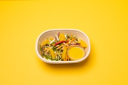 [WOW202402-0.5] WOW-Chinese Orange Citrus Salad /سلطة برتقال و حمضيات صينية 