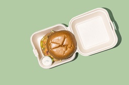 [NMN2485-1] Veggie Burger / برغر نباتي