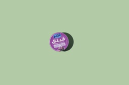 Flavored Yoghurt (DF) / زبادي بنكهات
